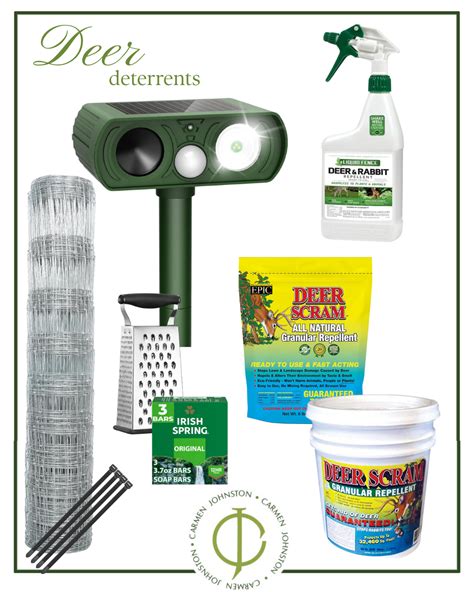 How to keep deer out of my garden? — Carmen Johnston Gardens