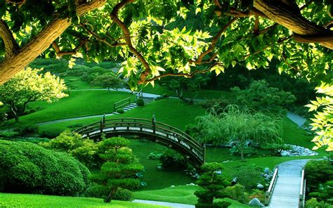 Free photo: Green Garden - Garden, Green, Nature - Free Download - Jooinn