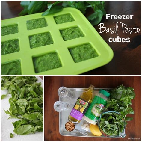 Easy Basil Pesto