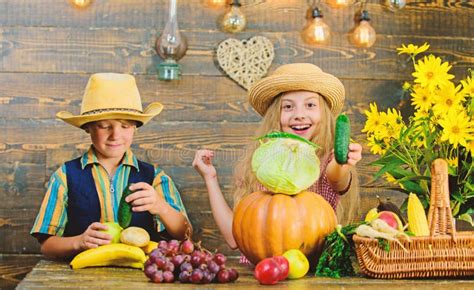 Children Play Vegetables Pumpkin Cabbage. Kids Girl Boy Wear Hat ...