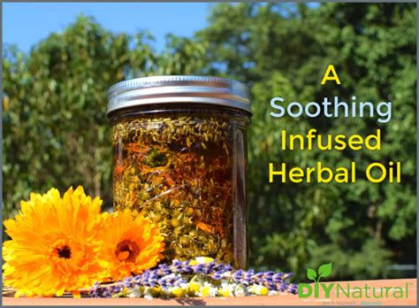 Herbal Oil: The Ultimate DIY Skin Soothing Infused Herbal Oil