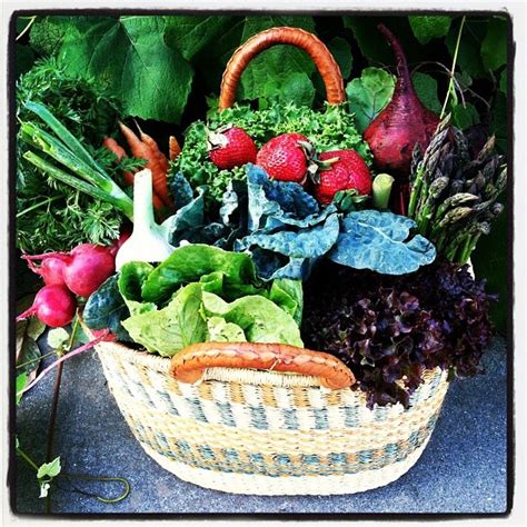 Farm Fresh Produce from Classic Organic | Farm fresh produce, Raw food ...