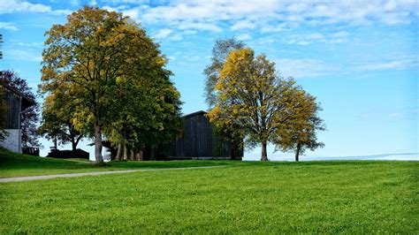 Free picture: farm, rural, landscape, tree, grass, rural, nature ...