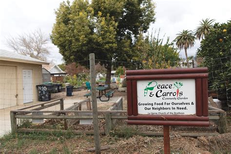 Community garden fights food insecurity - Campus Times