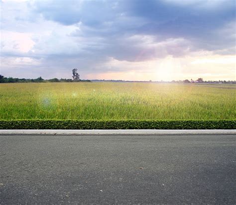 Top 60 Roadside Stock Photos, Pictures, and Images - iStock