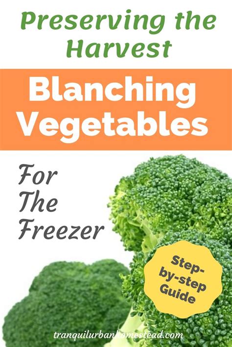 Easy Step-By-Step Guide to Blanching Vegetables For Freezing | Healthy ...