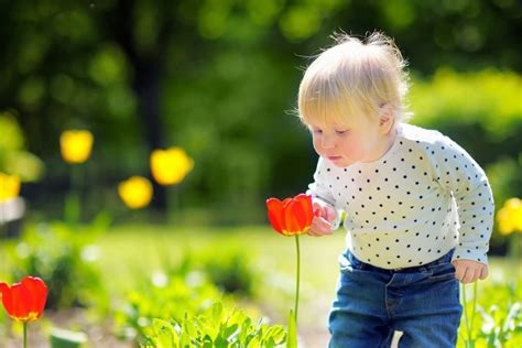 Difference Between Baby, Newborn, Infant and Toddlers Explained