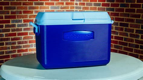 Which cooler should you buy this summer? We tested 18 of them - CNET