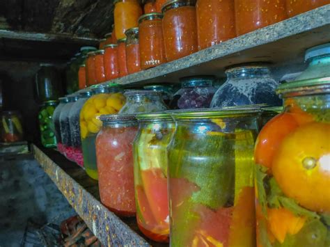 DIY root cellar tips for year-round food storage without electricity?