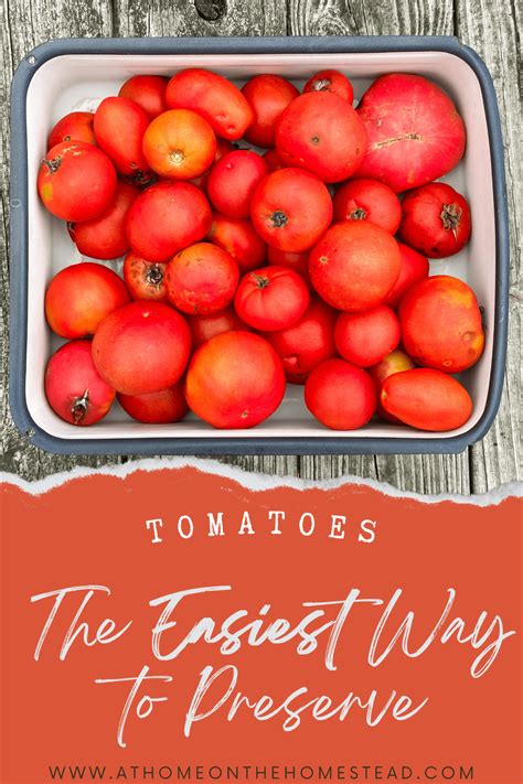 Easiest way to preserve garden tomatoes for winter meals from scratch?