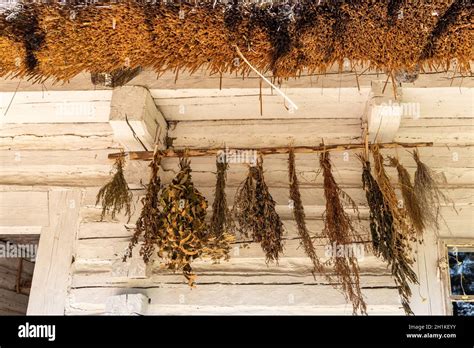 Hanging dried herbs hi-res stock photography and images - Alamy
