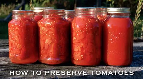 How to Preserve Tomatoes - Mom Prepares
