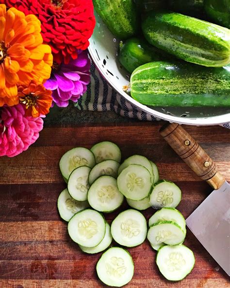 Easy homemade recipes for preserving your garden’s seasonal bounty?