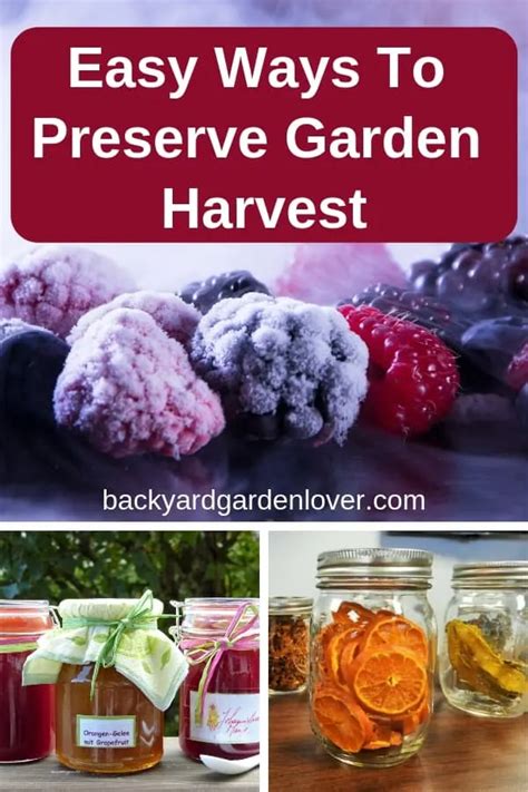 3 Easy Ways To Preserve Garden Harvest
