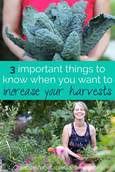 Tips to naturally extend my backyard garden harvest into fall?