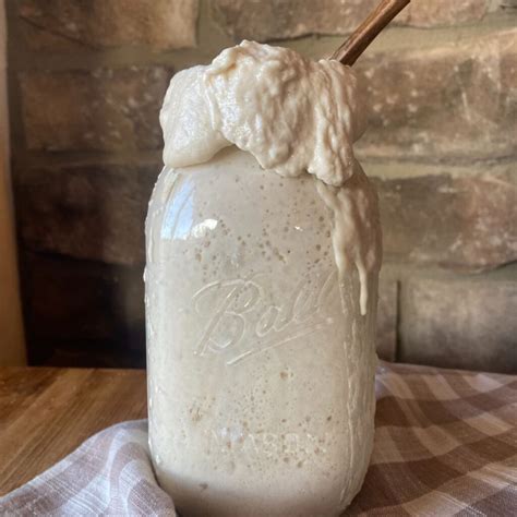 Feeding Sourdough: Best Tips for a Thriving Sourdough Starter - Our ...