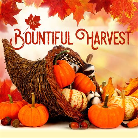 The Bountiful Harvest - Williams Food Equipment