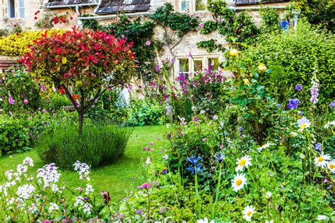 Ide Populer Jardin Anglais Plantes
