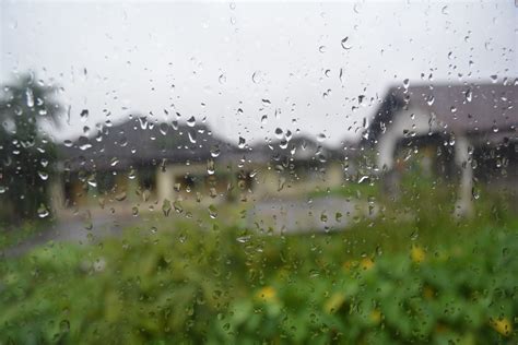 Rain Drop Free Stock Photo - Public Domain Pictures