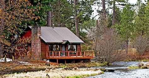 What Is A Hemiparasitic Plant – Examples Of Hemiparasitic Plants - Blog ...