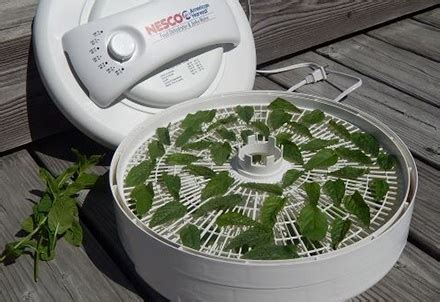 Food Dehydrator for Herbs | Drying Herbs with a Food Dehydrator ...