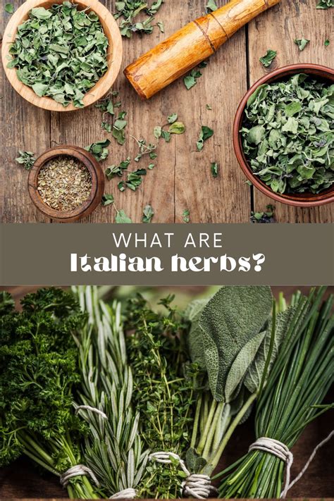 What is Italian Herbs? • Longbourn Farm
