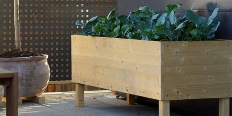 10 Surprising Benefits of Using Raised Garden Beds — Green Thumb Depot