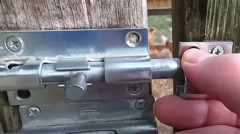 How to deter raccoons from chicken coops naturally?