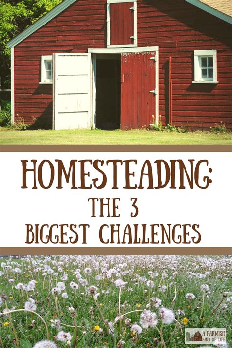 Homesteading Challenges: The 3 Biggest You'll Face - A Farmish Kind of Life