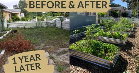 Before and After of Turning an Urban Backyard into a Homestead Garden