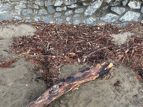 The Beauty of the Messiness of Life