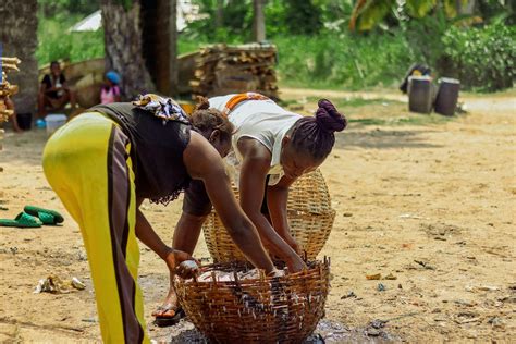 Rural Life Photos, Download The BEST Free Rural Life Stock Photos &amp; HD ...