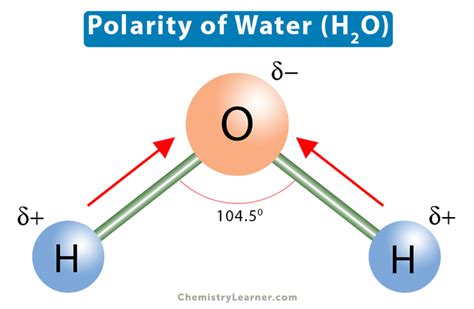 Complete Water Molecule Diagram With Partial Changes And Dip