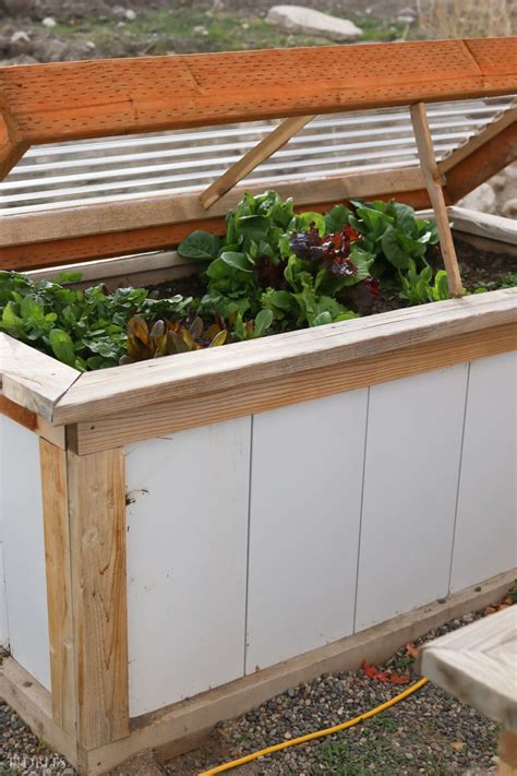 How to Build a Cold Frame to Grow Vegetables in the Winter - Tidbits