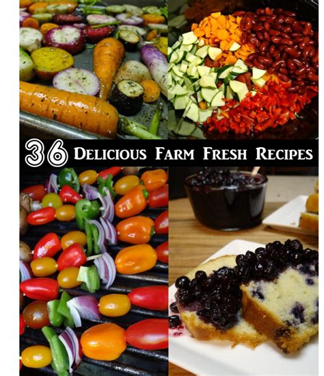 36 Farm Fresh Recipes to Try This Week Rural Mom