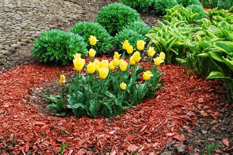 13 Types of Mulch and What They're Made Of