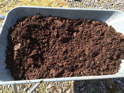 Mulching the vegetable beds - Gardening With Spirit