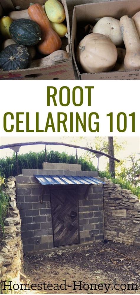 Root cellaring 101 what is a root cellar ideal conditions and use – Artofit
