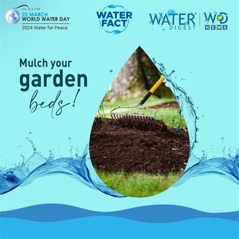 How mulch boosts garden beds #WorldWaterDay | Water Digest posted on ...
