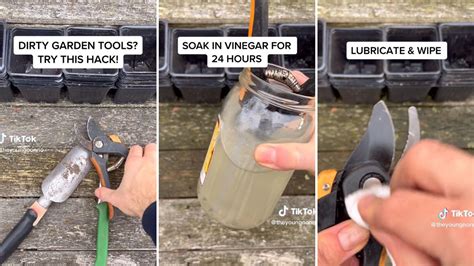 Gardener shares easy hack for cleaning dirty tools