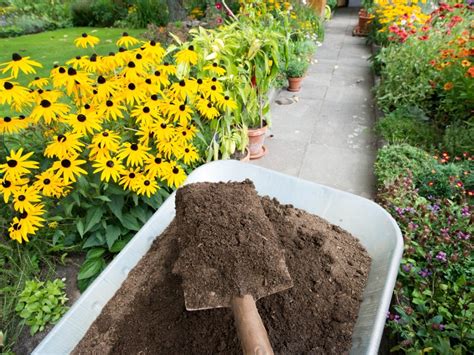 How To Add Compost To Established Garden Beds – Learnorganicgardening.com