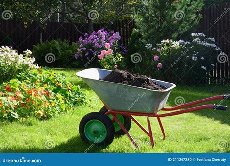 Wheelbarrow Full of Compost on Yard Stock Photo - Image of farming ...