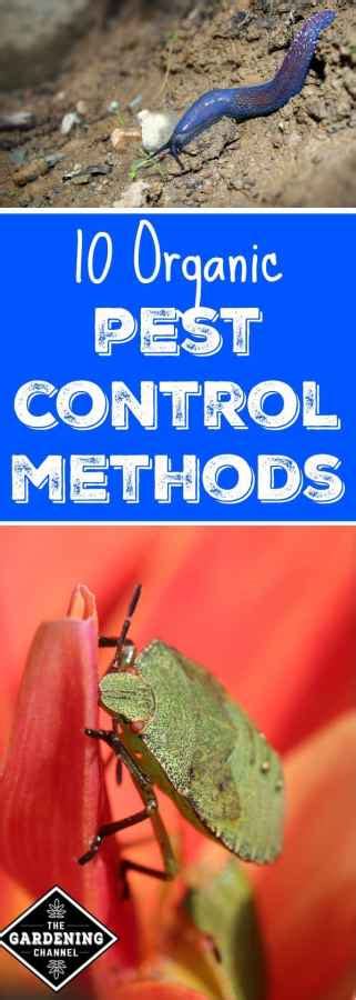 10 Organic Pest Control Methods - Gardening Channel