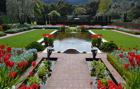 Garden Beauties | floralove