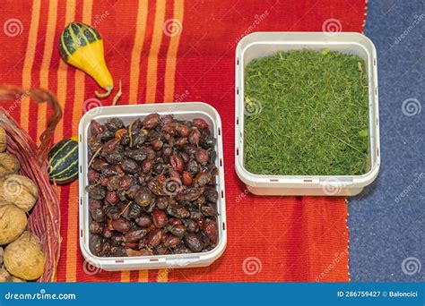 Dried Fruits and Herbs stock image. Image of berry, herb - 286759427