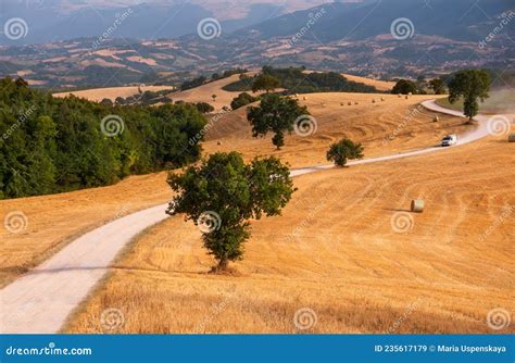 Rural Landscape with Winding Road among Fields in Countryside Stock ...
