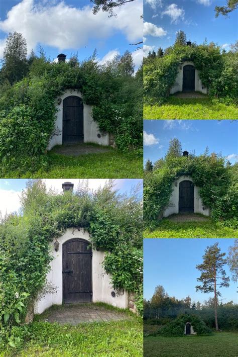 Hidden root cellar entrance. Modern cellar made by Revonia | Cellar ...