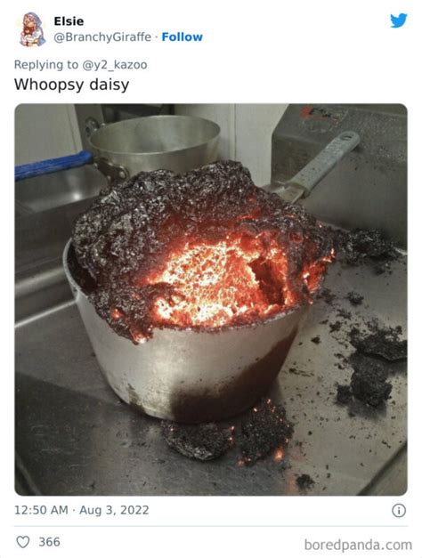 20 Times People Tried Their Hand At Cooking And Failed Miserably | DeMilked