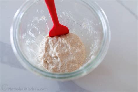 How to Feed Sourdough Starter - NatashasKitchen.com