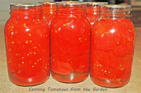 Canning Tomatoes from the Garden - Saving Cent by Cent